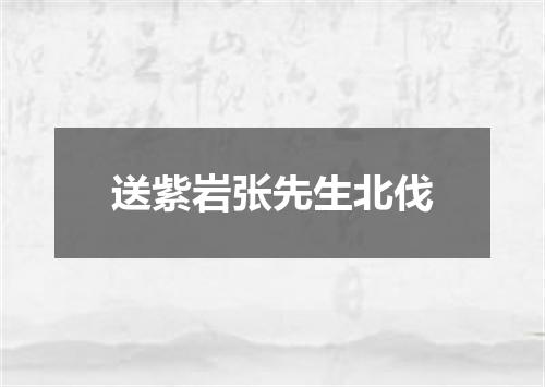 送紫岩张先生北伐