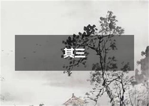其三