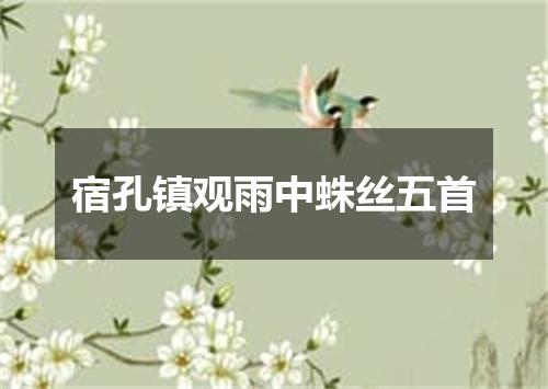 宿孔镇观雨中蛛丝五首