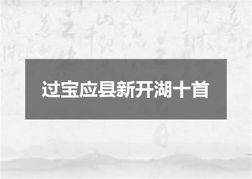 过宝应县新开湖十首