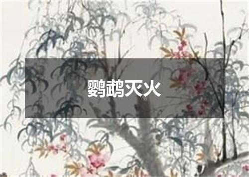 鹦鹉灭火