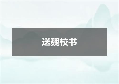 送魏校书