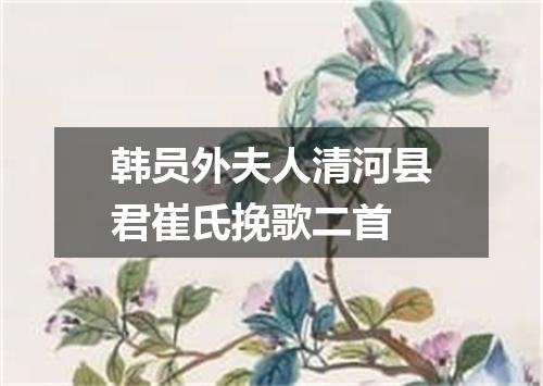 韩员外夫人清河县君崔氏挽歌二首