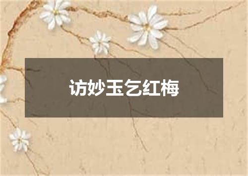 访妙玉乞红梅