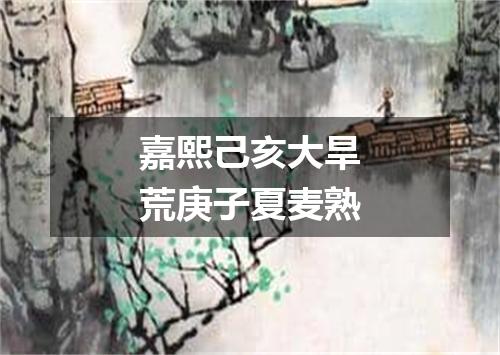 嘉熙己亥大旱荒庚子夏麦熟