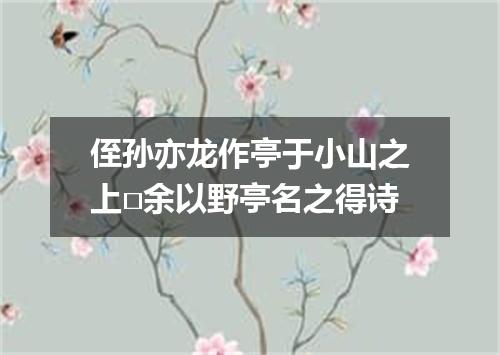 侄孙亦龙作亭于小山之上□余以野亭名之得诗