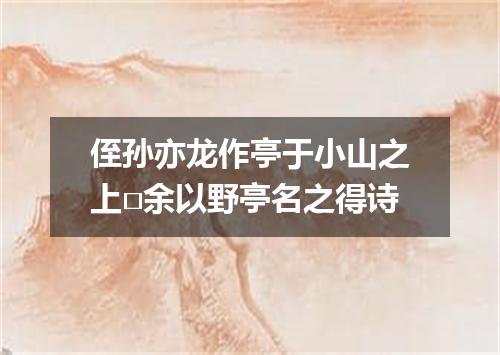 侄孙亦龙作亭于小山之上□余以野亭名之得诗