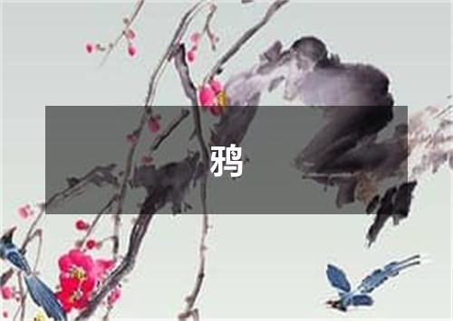 鸦