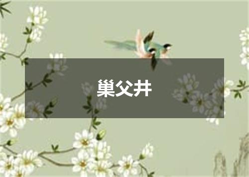 巢父井