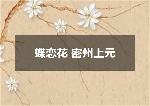 蝶恋花 密州上元