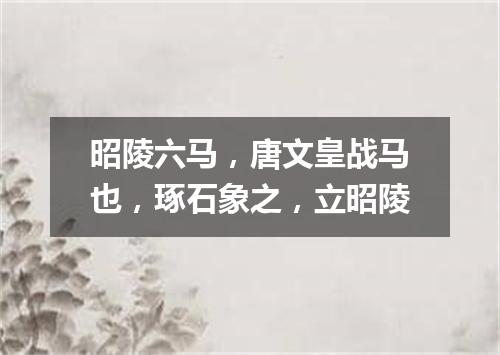 昭陵六马，唐文皇战马也，琢石象之，立昭陵