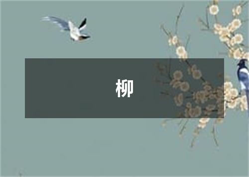 柳