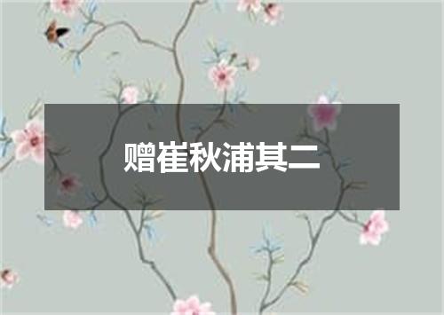 赠崔秋浦其二