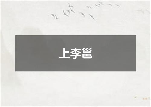 上李邕