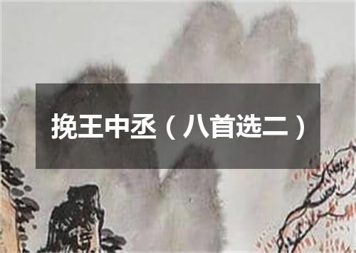 挽王中丞（八首选二）