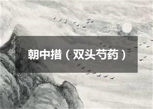朝中措（双头芍药）