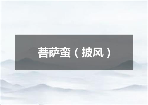 菩萨蛮（披风）