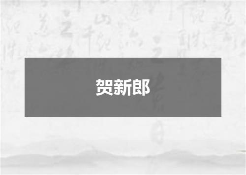 贺新郎