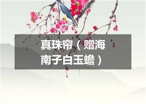 真珠帘（赠海南子白玉蟾）