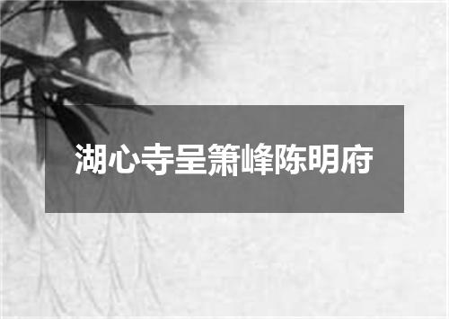 湖心寺呈箫峰陈明府