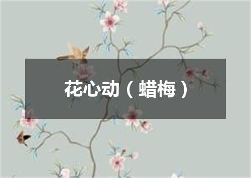 花心动（蜡梅）
