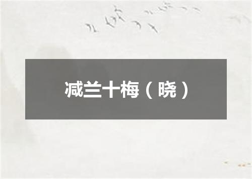 减兰十梅（晓）