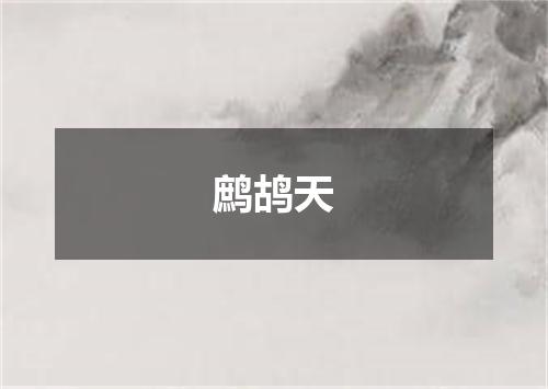 鹧鸪天