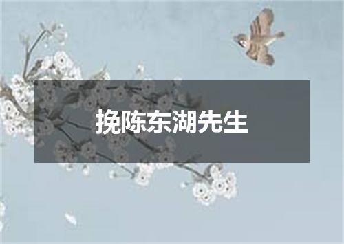 挽陈东湖先生