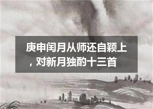 庚申闰月从师还自颖上，对新月独酌十三首