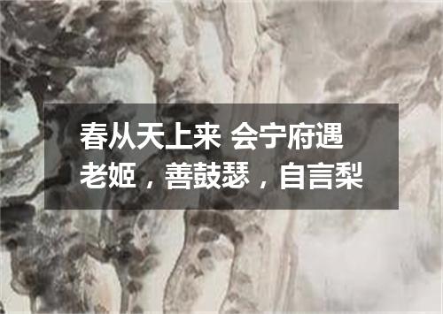 春从天上来 会宁府遇老姬，善鼓瑟，自言梨