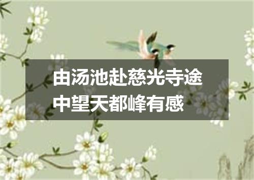 由汤池赴慈光寺途中望天都峰有感