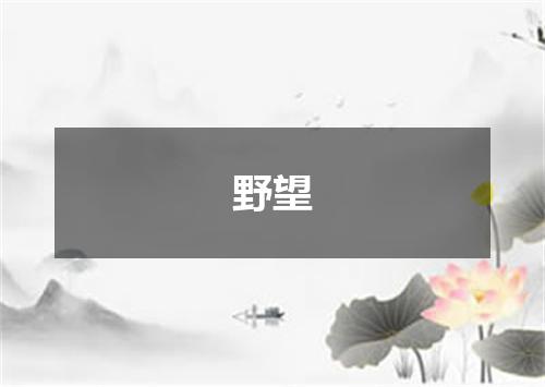 野望