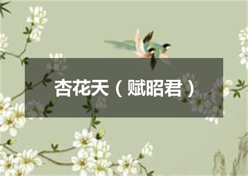 杏花天（赋昭君）