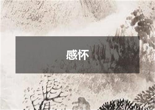 感怀
