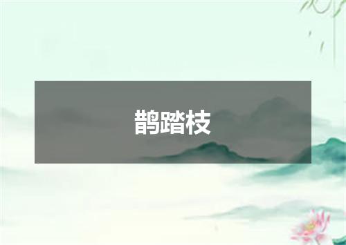 鹊踏枝