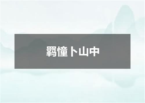羁憧卜山中
