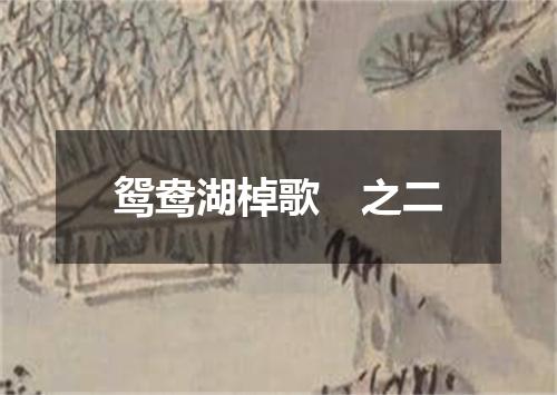 鸳鸯湖棹歌　之二