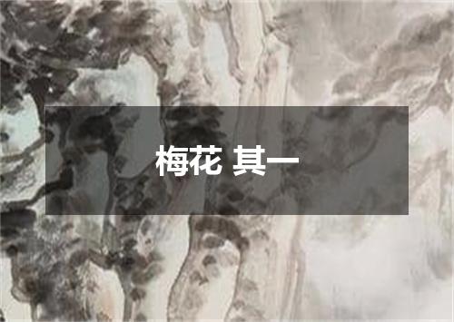 梅花 其一