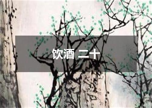 饮酒 二十