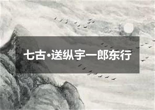 七古·送纵宇一郎东行