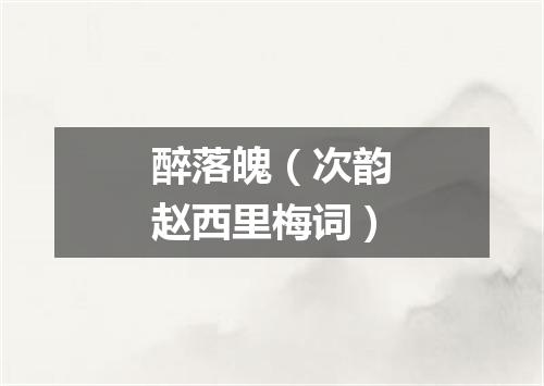 醉落魄（次韵赵西里梅词）