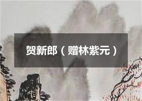 贺新郎（赠林紫元）