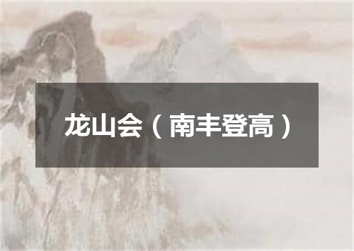 龙山会（南丰登高）