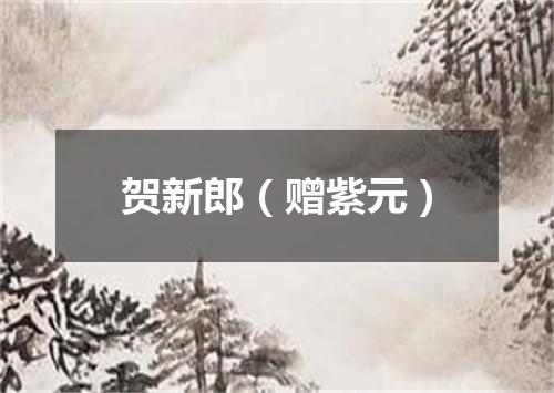 贺新郎（赠紫元）
