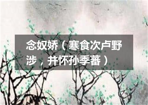 念奴娇（寒食次卢野涉，并怀孙季蕃）