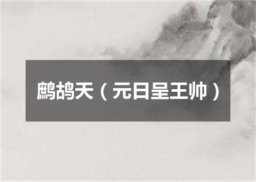鹧鸪天（元日呈王帅）