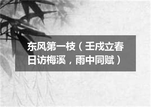 东风第一枝（壬戍立春日访梅溪，雨中同赋）