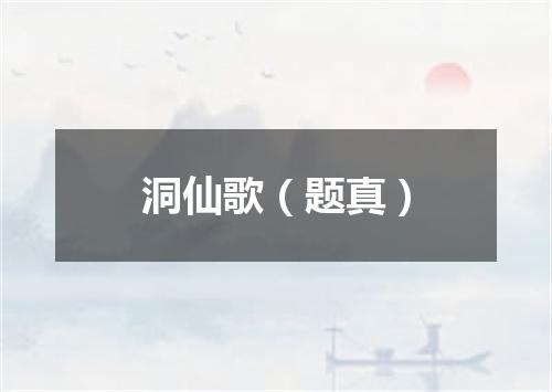 洞仙歌（题真）