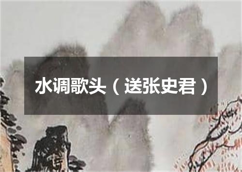 水调歌头（送张史君）