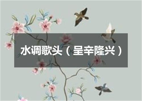 水调歌头（呈辛隆兴）